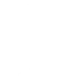 JAH Açaí